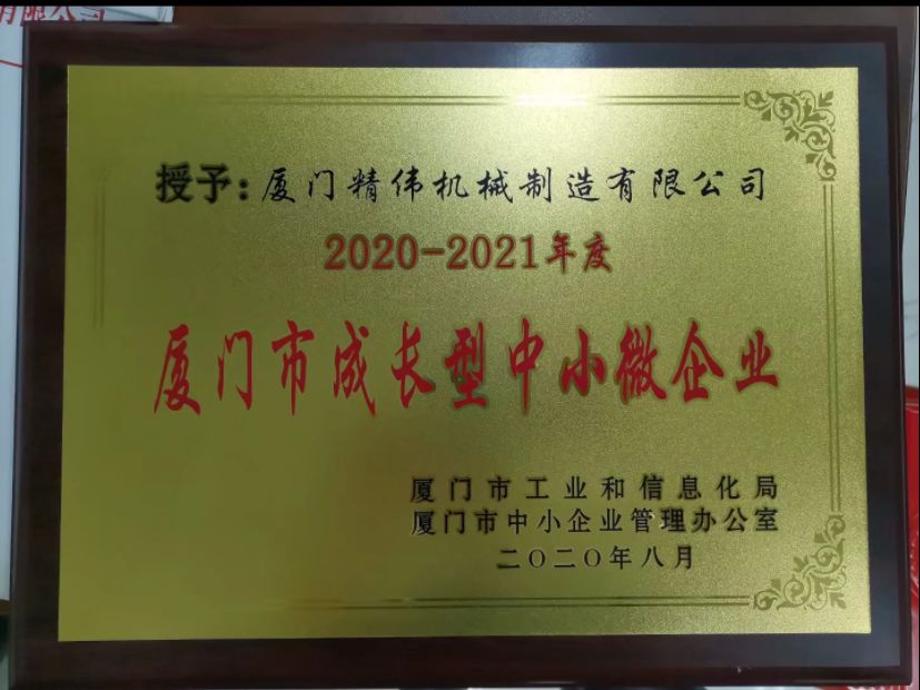 成(cheng)長型中小(xiǎo)微企業2020-2021